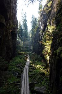 Soutěska Orinoro